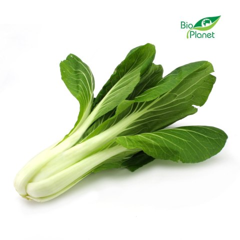 Przecena KAPUSTA PAK CHOI ŚWIEŻA BIO (około 0,25 kg)