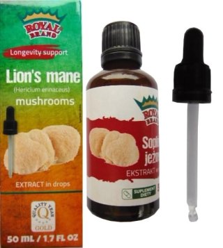 GRZYBY SOPLÓWKA JEŻOWATA (LION'S MANE) EKSTRAKT W KROPLACH 50 ml - ROYAL BRAND