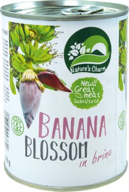 KWIAT BANANOWCA W ZALEWIE 510 g (260 g) - NATURE'S CHARM