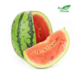 ARBUZ MINI ŚWIEŻY BIO (około 1,80 kg)
