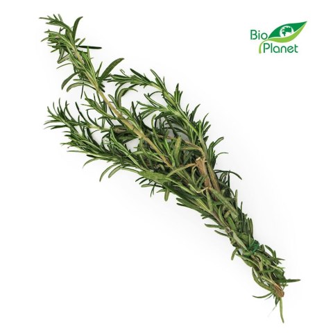 ROZMARYN ŚWIEŻY BIO (około 50 g) ROZMARYN ŚWIEŻY BIO (około 50 g)