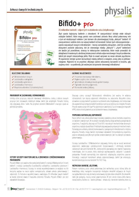 KAPSUŁKI NA ODBUDOWĘ FLORY JELIT (BIFIDO+ PRO) 30 szt. - PHYSALIS