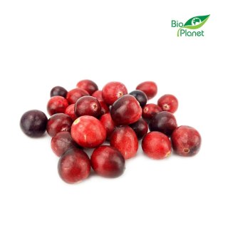 ŻURAWINA ŚWIEŻA BIO (około 0,20 kg)