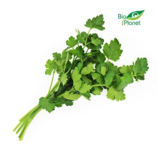 NATKA PIETRUSZKI ŚWIEŻA BIO (PĘCZEK) (około 40 g)