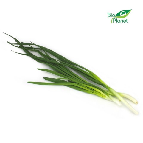 Przecena CEBULA ZE SZCZYPIORKIEM ŚWIEŻA BIO (około 0,12 kg)