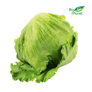 SAŁATA LODOWA ŚWIEŻA BIO (POLSKA) (około 0,30 kg)