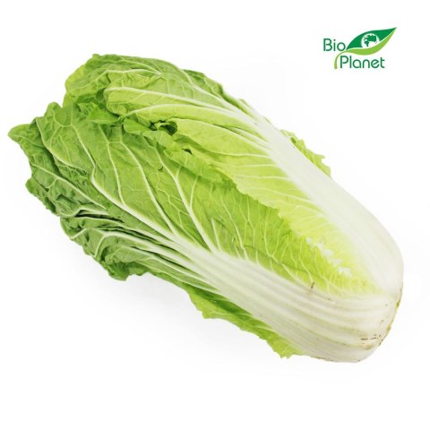 KAPUSTA PEKIŃSKA ŚWIEŻA BIO (POLSKA) (około 0,45 kg)