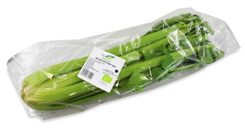 Przecena SELER NACIOWY ŚWIEŻY BIO (POLSKA) (około 0,30 kg)
