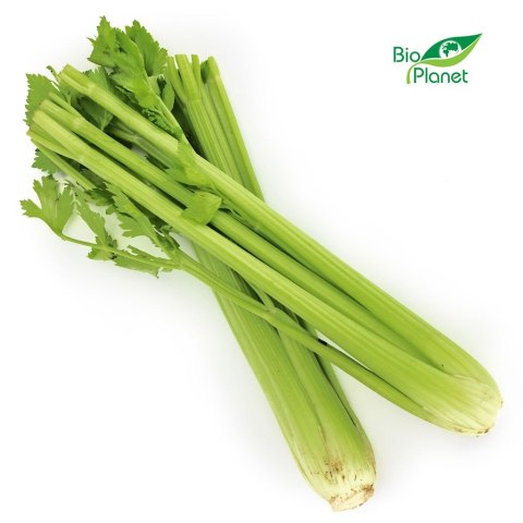 Przecena SELER NACIOWY ŚWIEŻY BIO (około 0,30 kg)