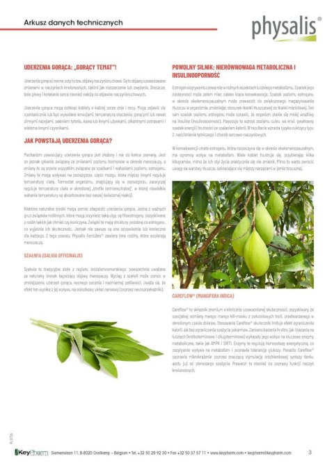 TABLETKI NA MENOPAUZĘ (FEMLIBRE) 30 szt. - PHYSALIS (HERBALANCE)