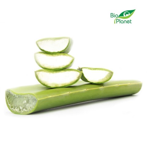 ALOES ŚWIEŻY BIO (około 0,40 kg)