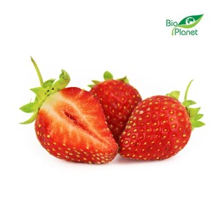 Przecena TRUSKAWKA ŚWIEŻA BIO (POLSKA) (opakowanie około 0,50 kg)