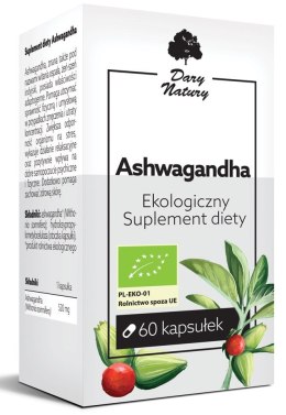 ASHWAGANDHA BIO 60 KAPSUŁEK (520 mg) - DARY NATURY