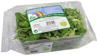 MIX SAŁAT ŚWIEŻY NIEMYTY BIO (około 0,10 kg)