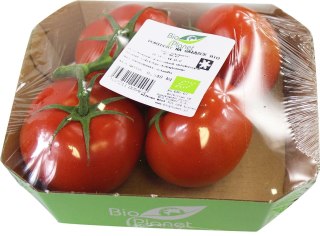 POMIDORY NA GAŁĄZCE ŚWIEŻE BIO (około 0,45 kg)