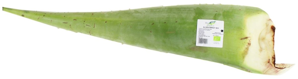 OPAKOWANIE ZBIORCZE (kg) - ALOES WIEY BIO (okoo 4 kg) - Ekoidea